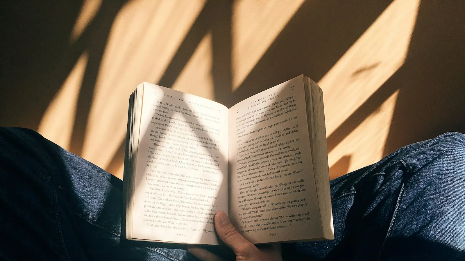Una persona che legge un libro alla luce del sole