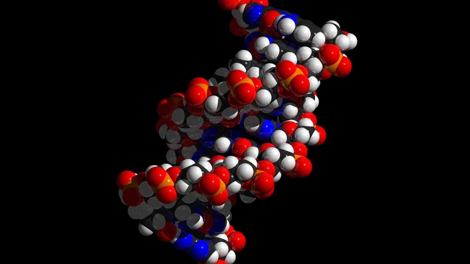 Modello tridimensionale della doppia elica del DNA su sfondo nero